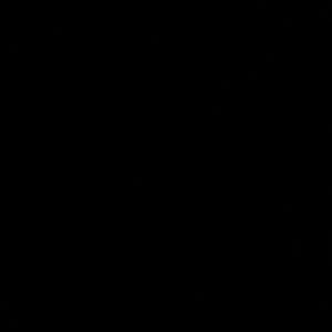 Meet your Posher, Abbie